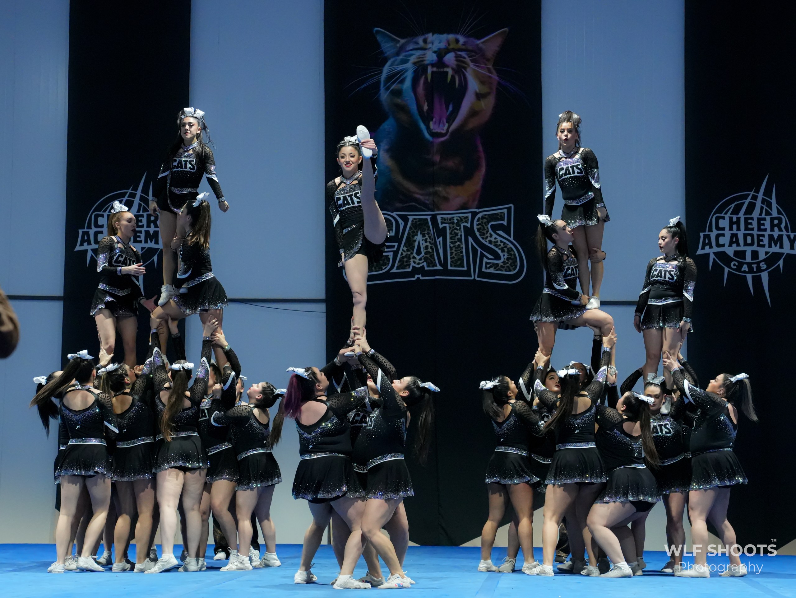 Equipo de Cheer Academy CATS durante una competencia