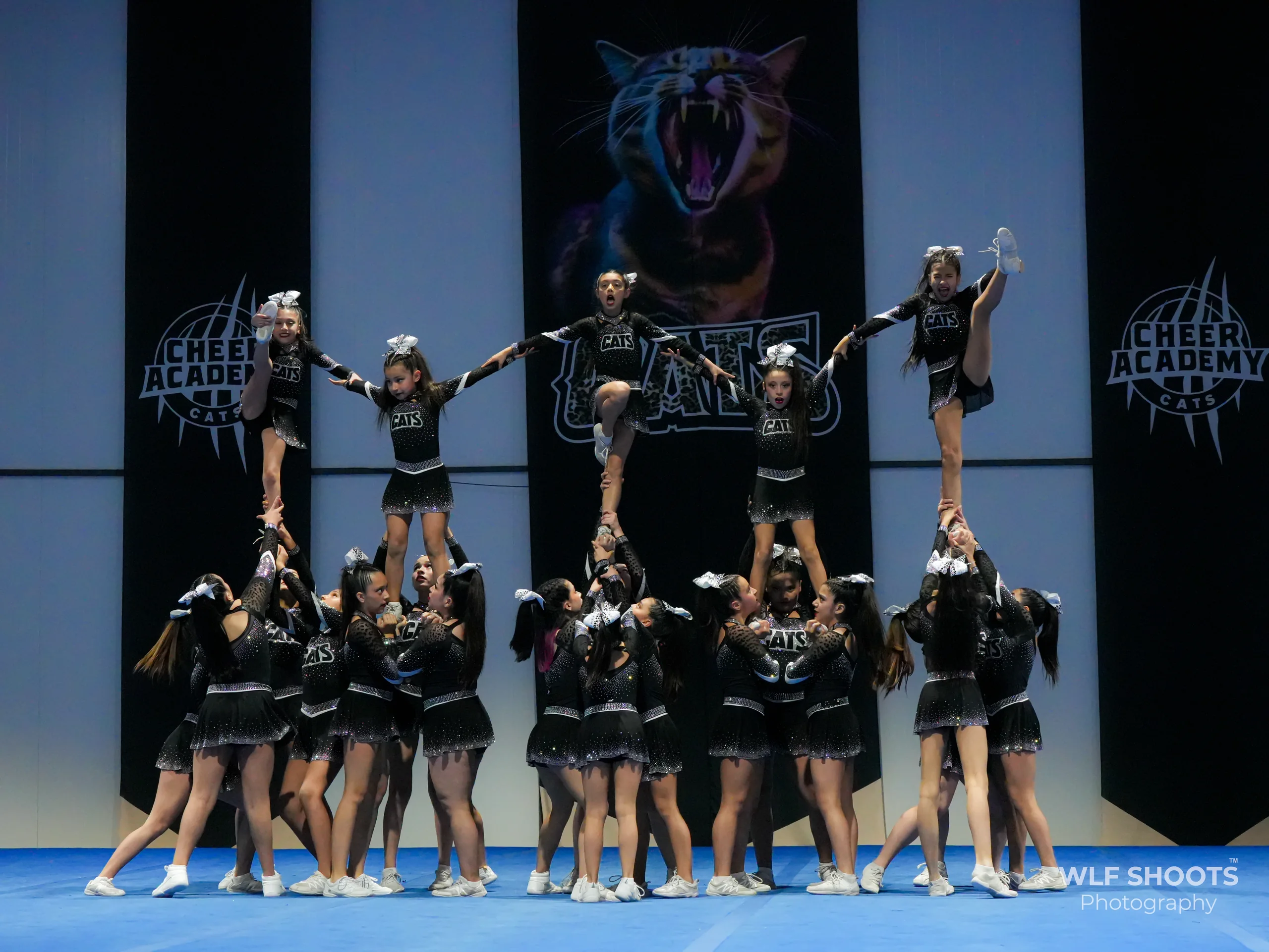Equipo CATS en pir&aacute;mide competitiva