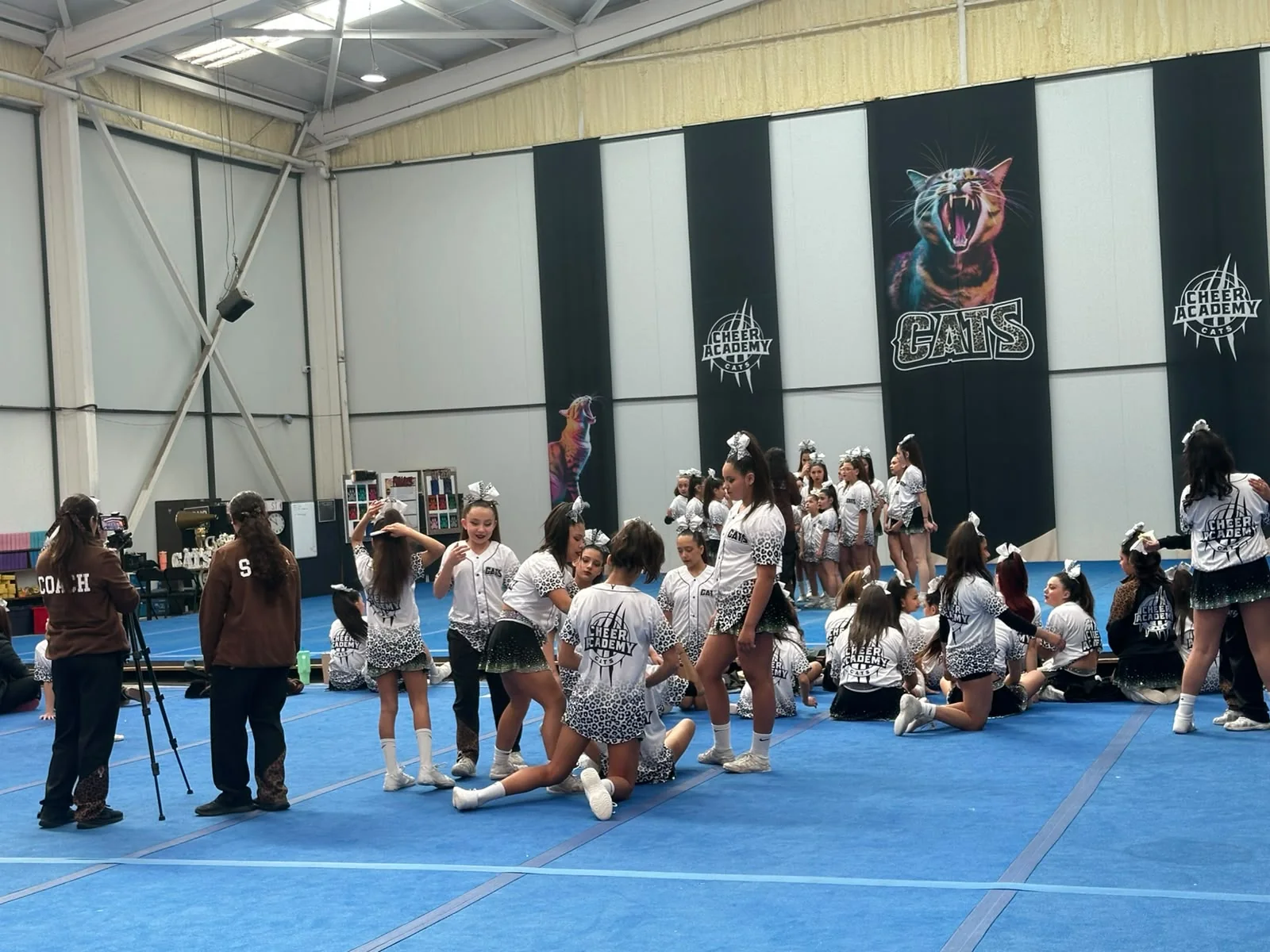 Atletas y coaches de Cheer Academy CATS durante un entrenamiento en el gimnasio